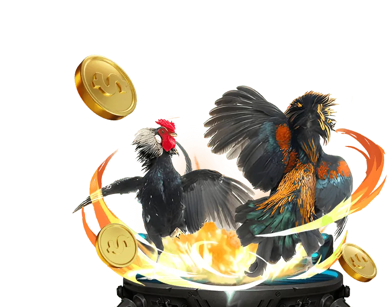 Biểu tượng tiền thưởng nạp lại hàng tuần