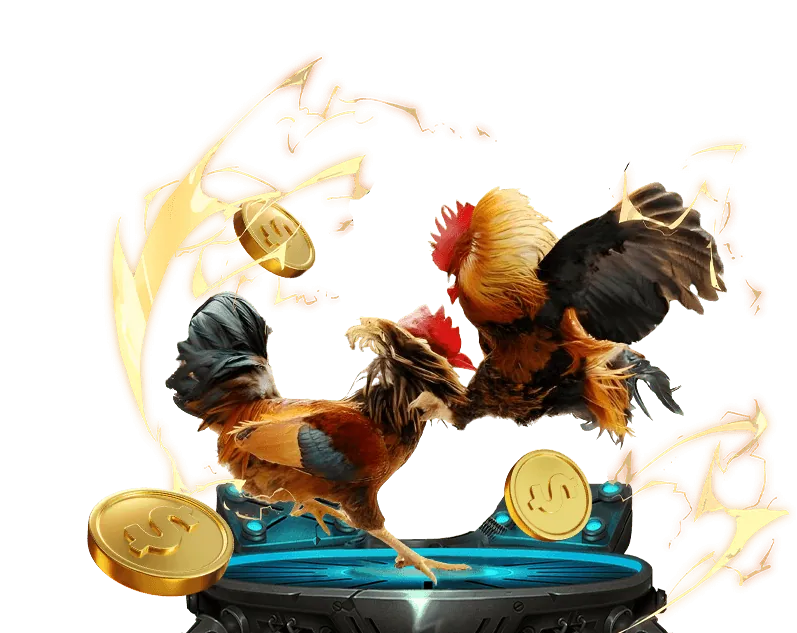 Hình ảnh minh họa các quy định pháp lý và tác động xã hội của chọi gà Thomo